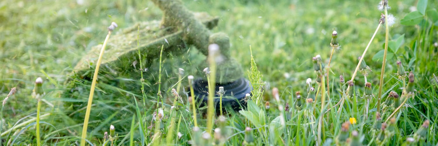 Grass Trimmer and Strimmers available at Taylormade Garden Equipment and Landscaping Machinery