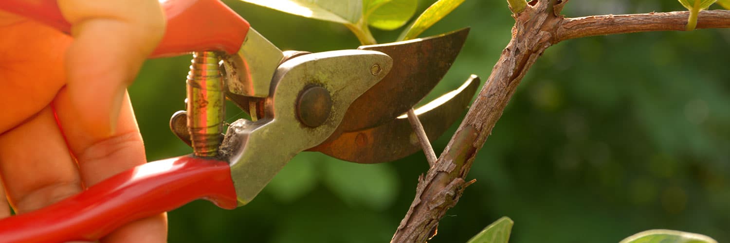 premium garden accessories available at Taylormade Garden Equipment and Landscaping Machinery
