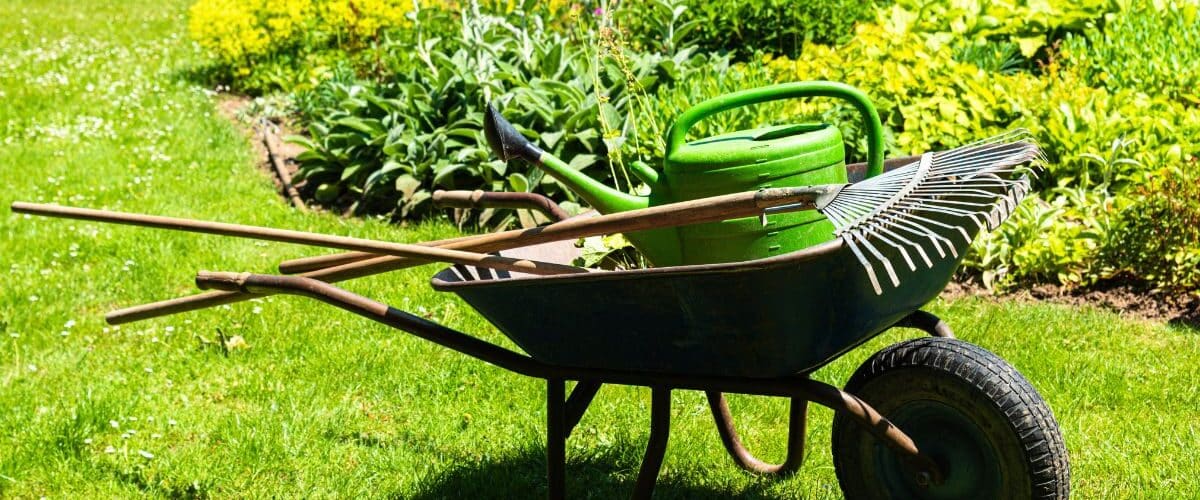 national allotment week at taylormade garden machinery