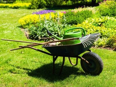 national allotment week at taylormade garden machinery