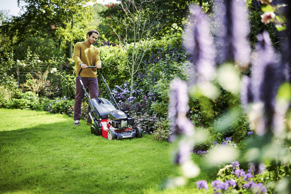 mountfield s421r pd