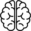 brain