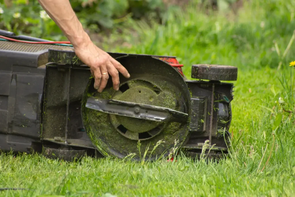 Lawn mower servicing