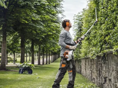 hedge trimmer